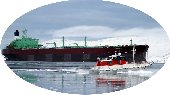 Marine Transport and Logistics